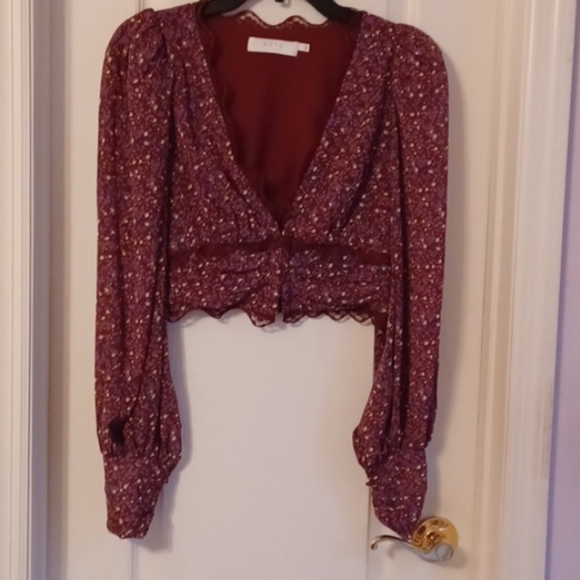 NWT ASTR the Label Zanna Cropped Balloon Long Sleeve Top - Picture 3 of 10